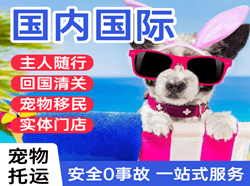 遵义新舟机场快递国际宠物托运 【国